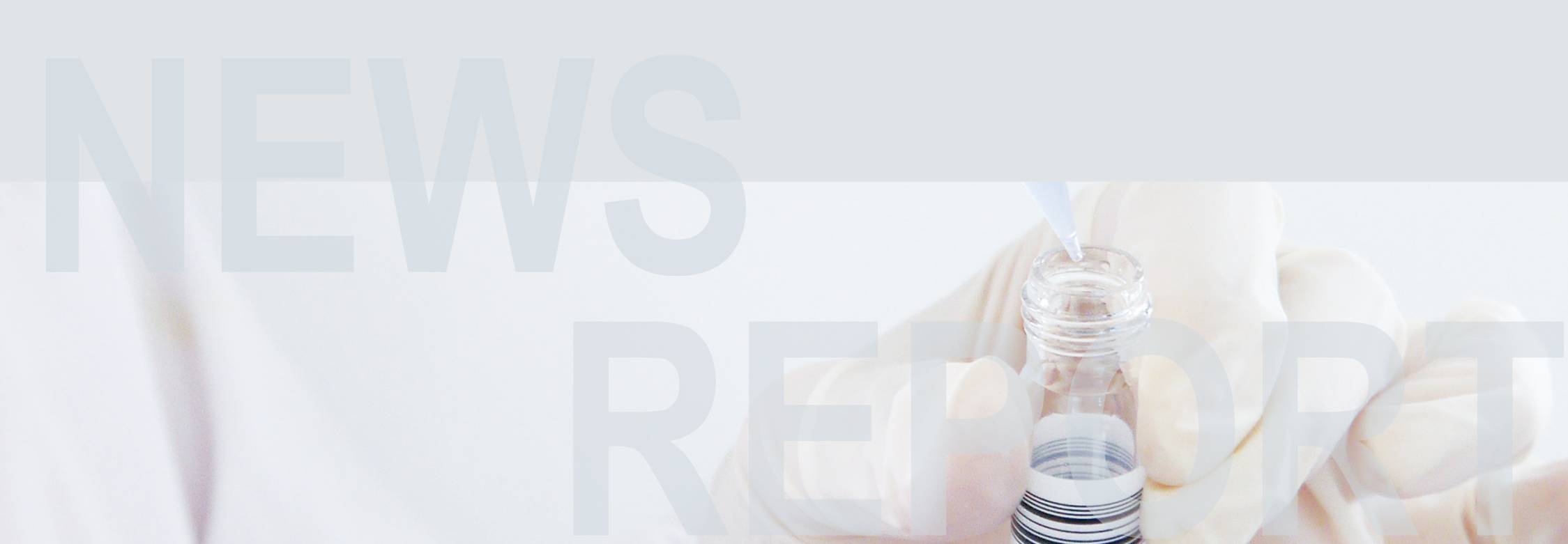 新聞動(dòng)態(tài)